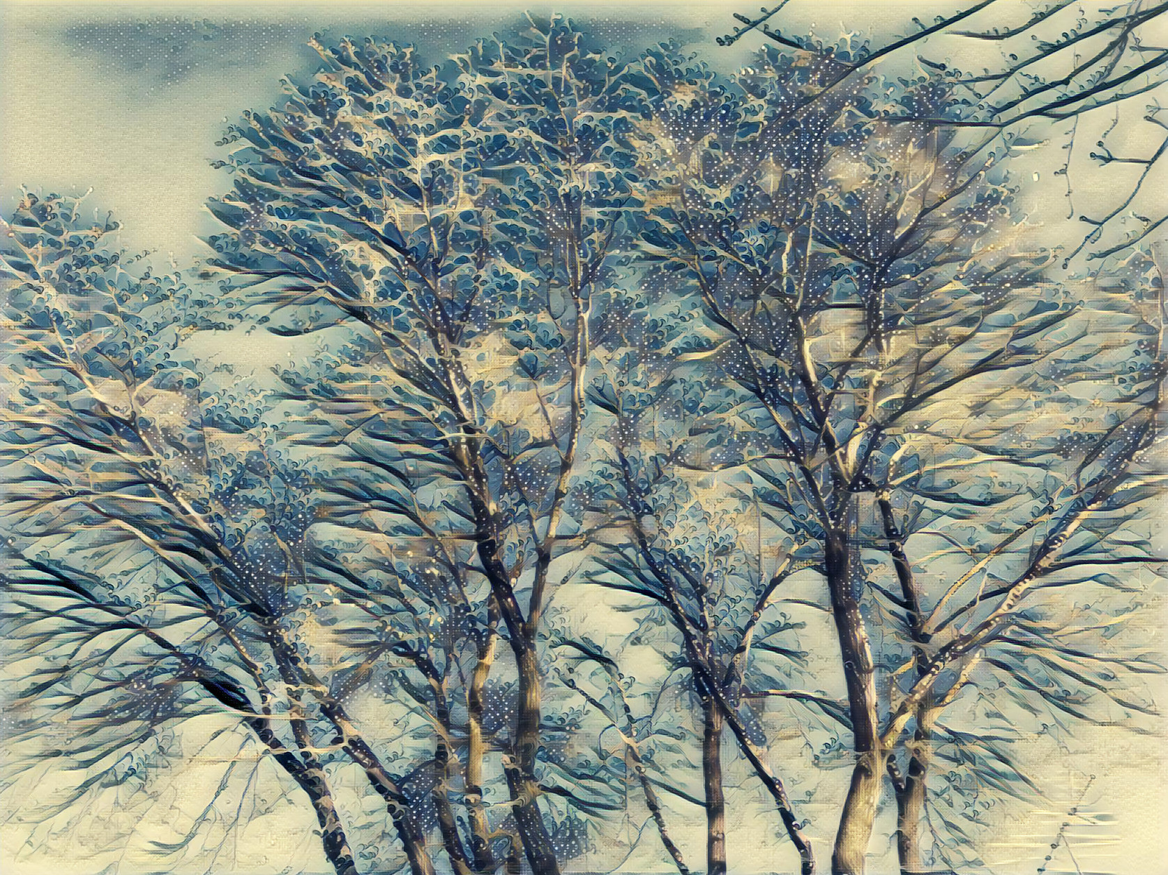 Trees in Beloeil (Quebec), Winter 2019
