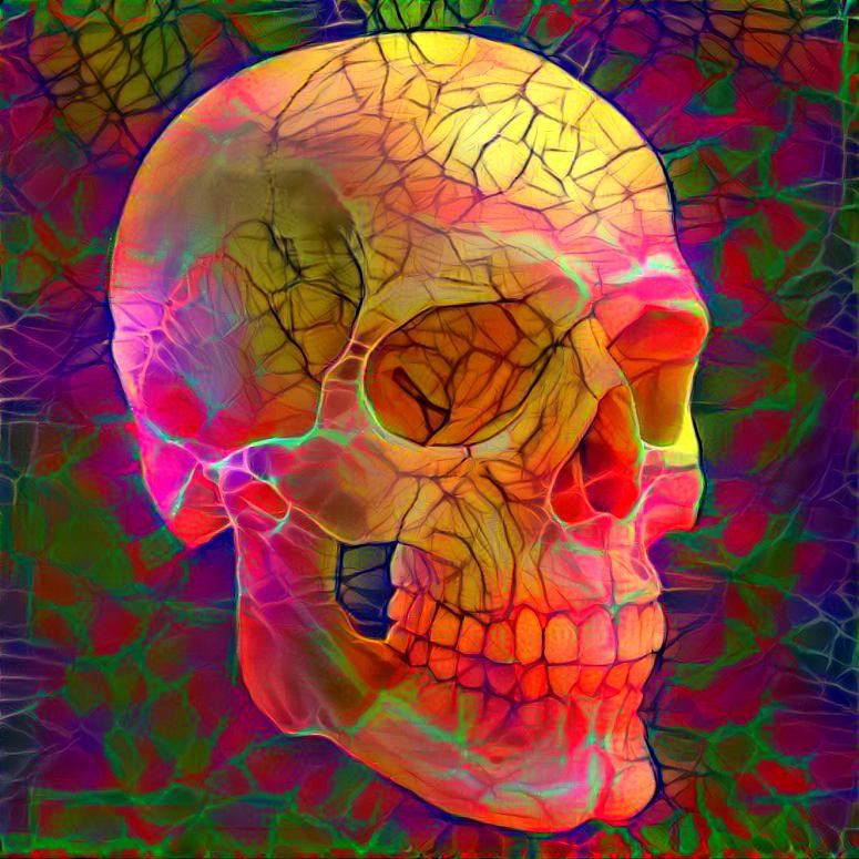 Rainbow cracked skull