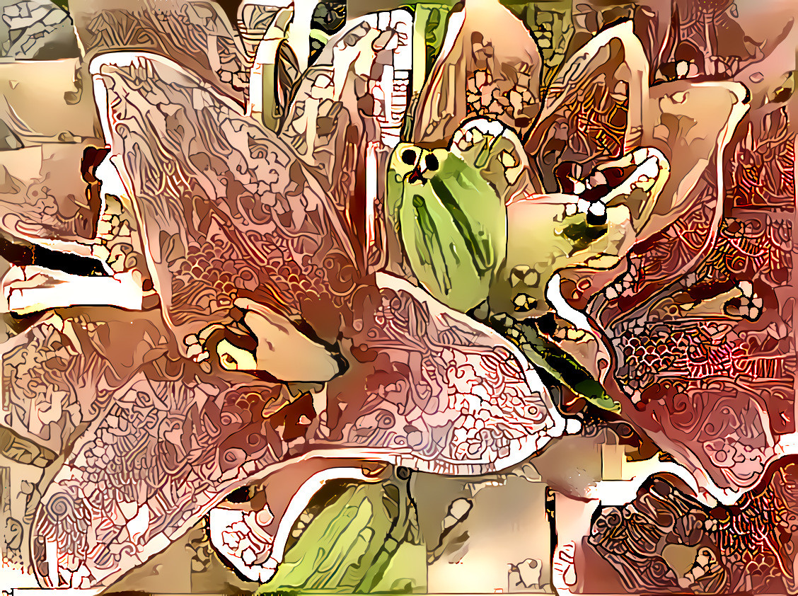 Asiatic Lily #4