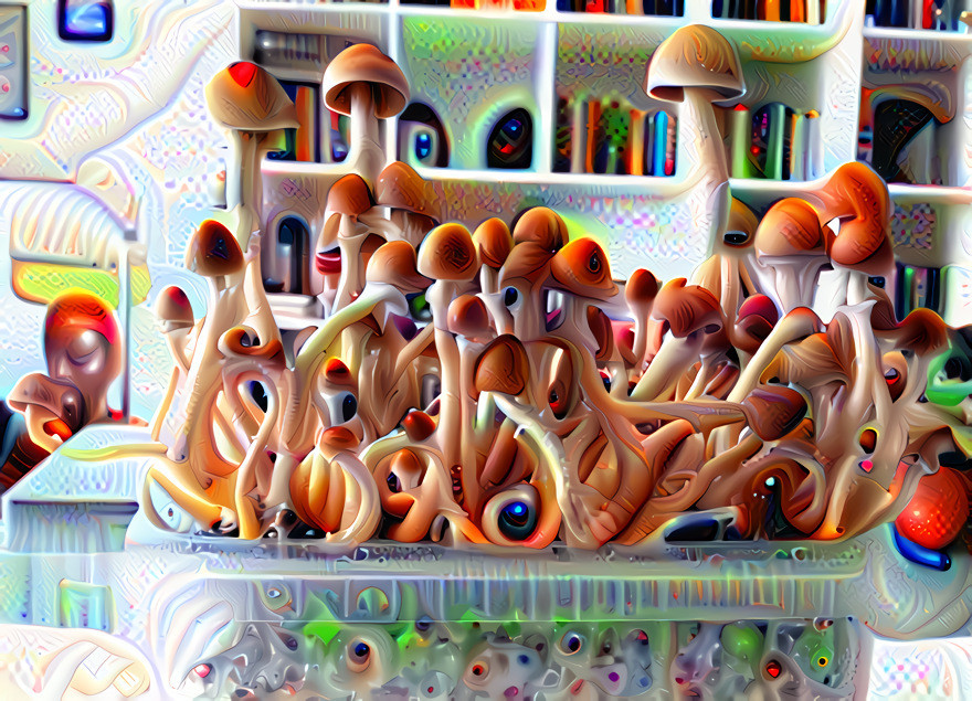 Mushrooms in Tub