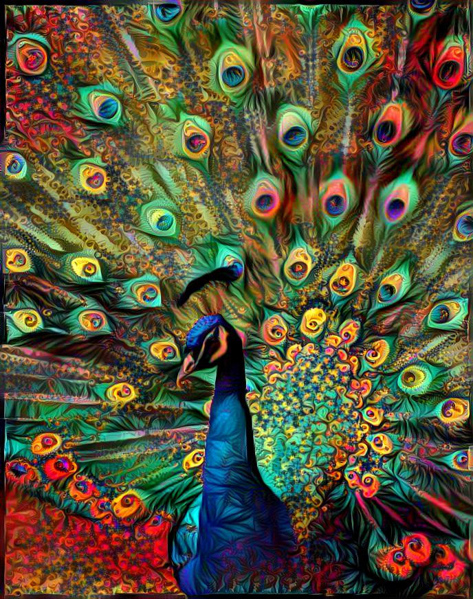Jewel Peacock