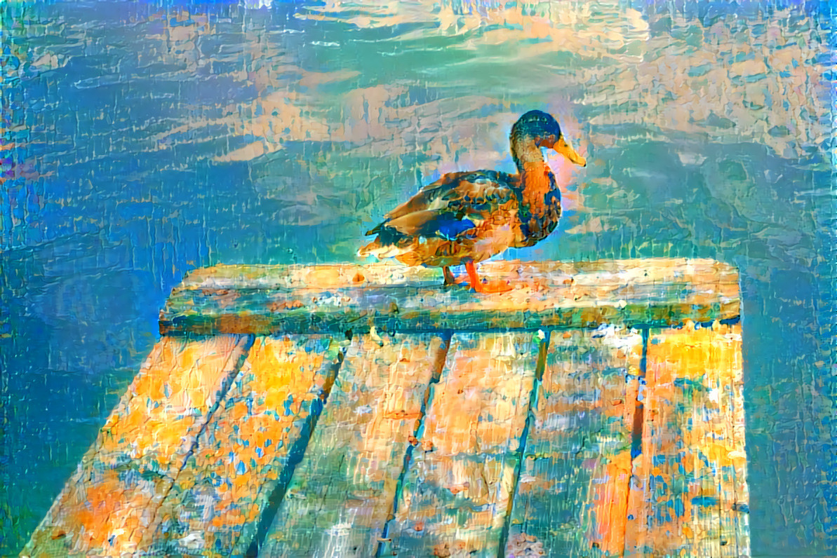 Duck 1 abstract 73