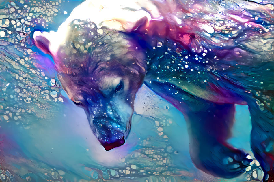 water bear