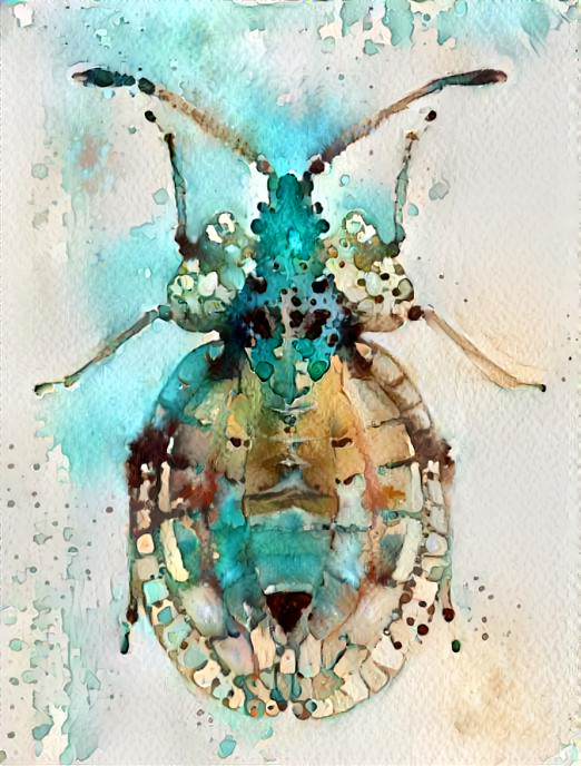 insect - watercolor, blue, beige