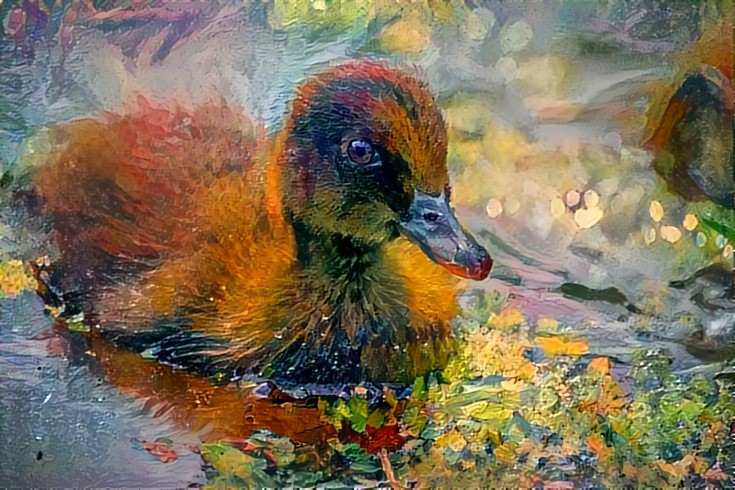 Warm duckling