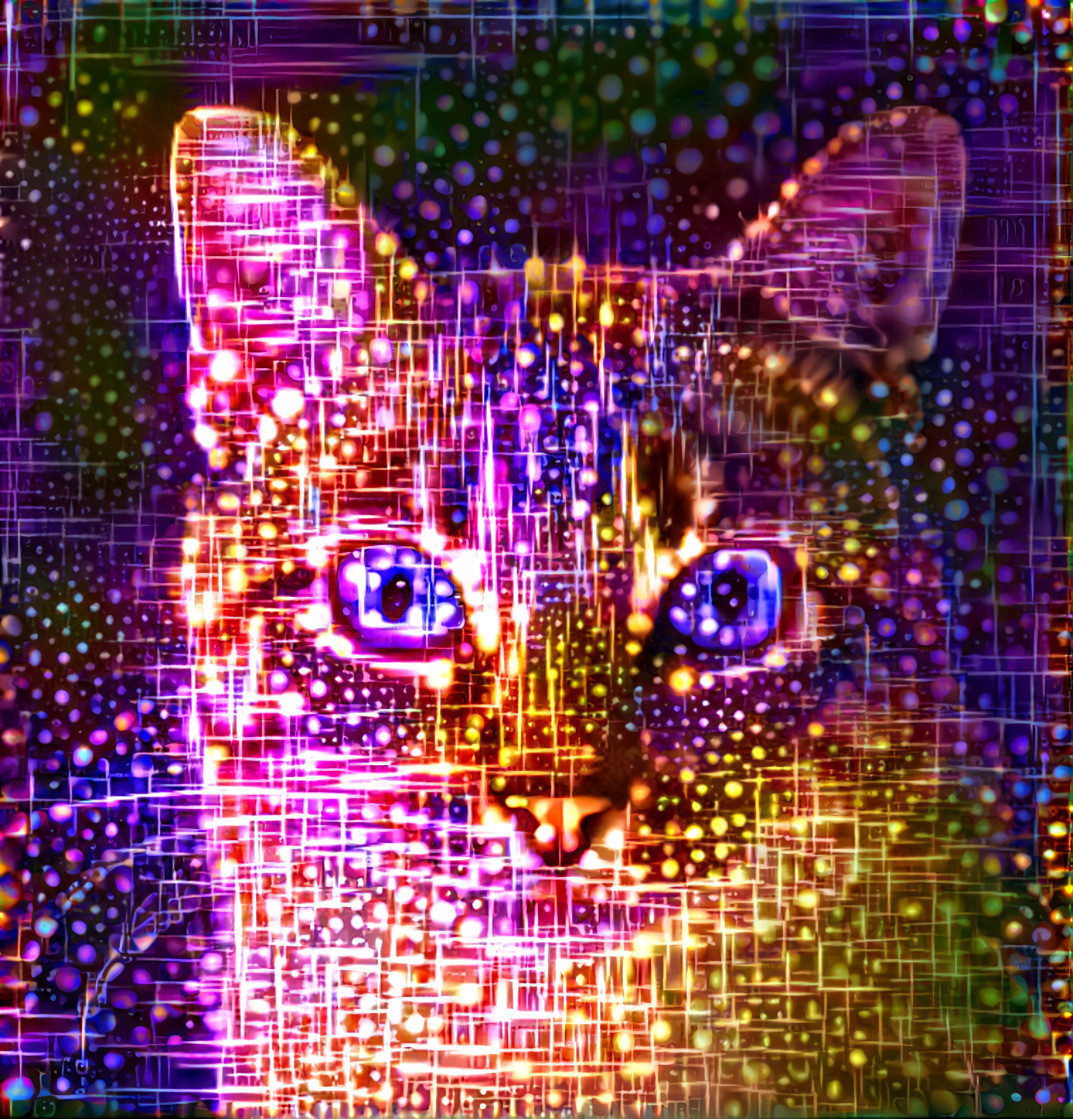 Neon Lit Kitty - Style Art by Daniel W. Prust