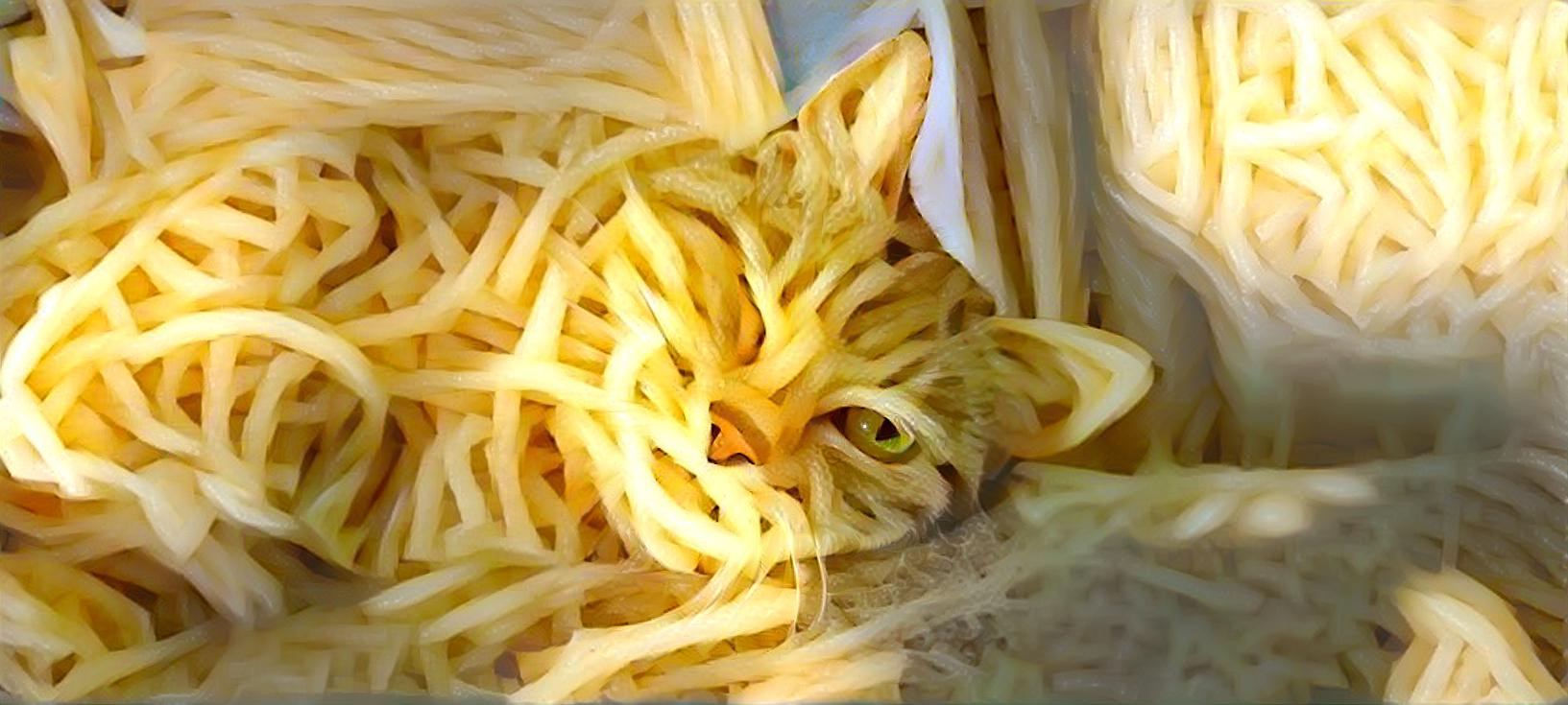 Spaghetti kitty