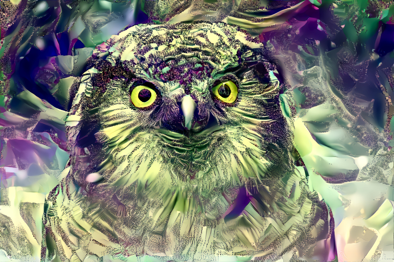 Owl (Image by JL G from Pixabay) - Style fractal generated on Sterling.