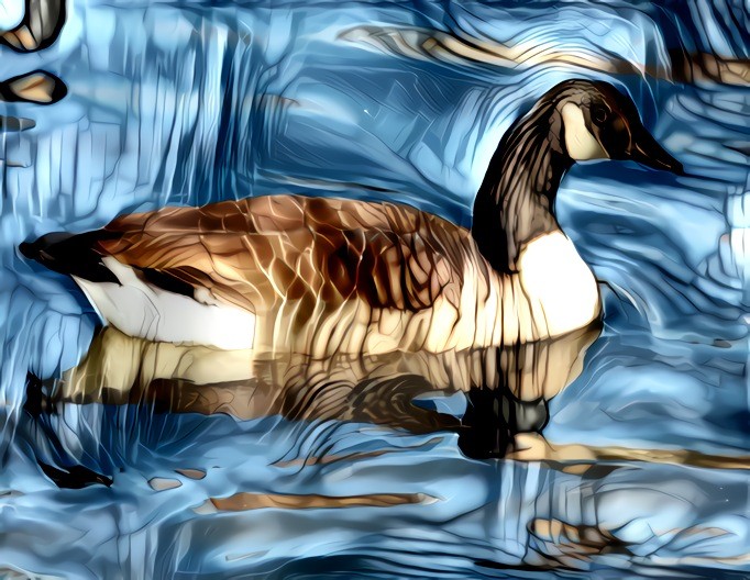 Goose + Distorted Interactions