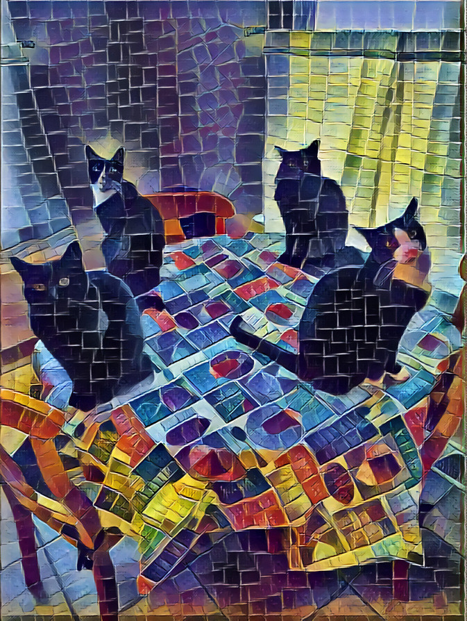 Summer Black's Cats in Quadruple