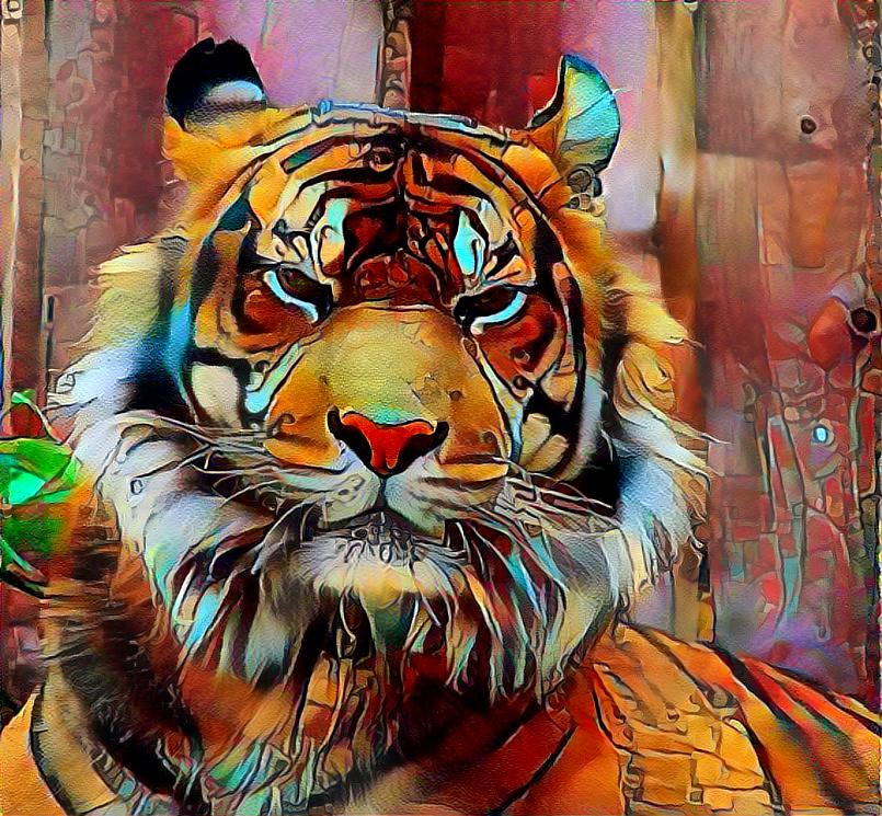 Tiger, Tiger