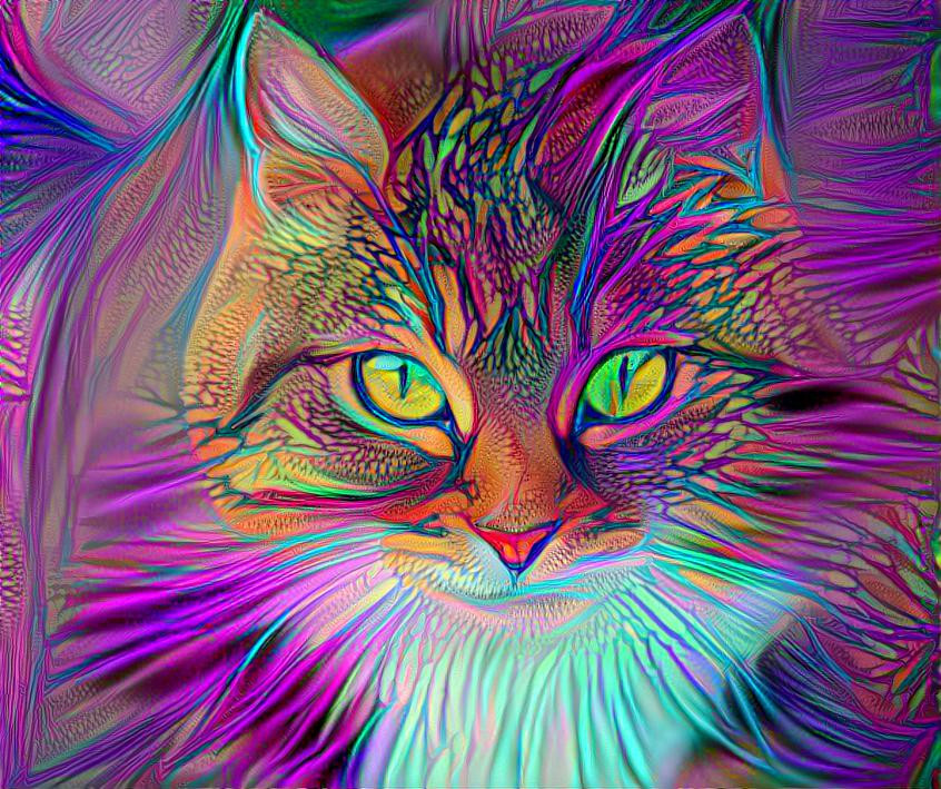 Color cat