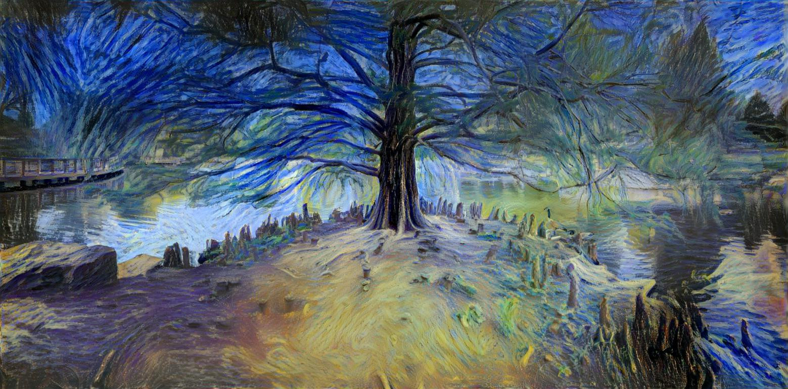 Bare Cypress a la Van Gogh.
