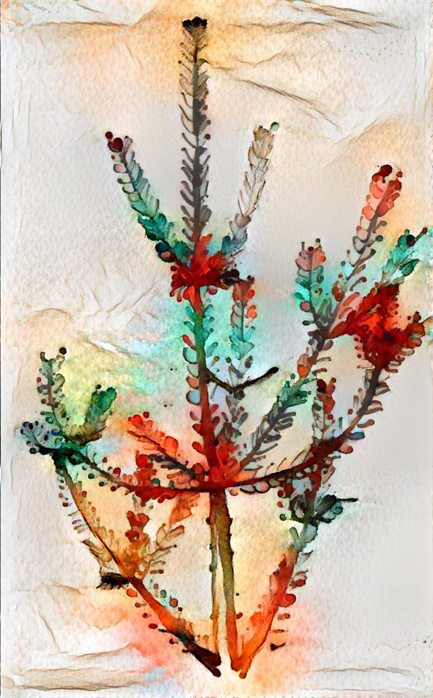 Watercolor pine