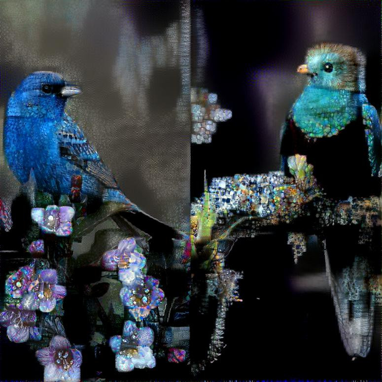 Two trpical birds