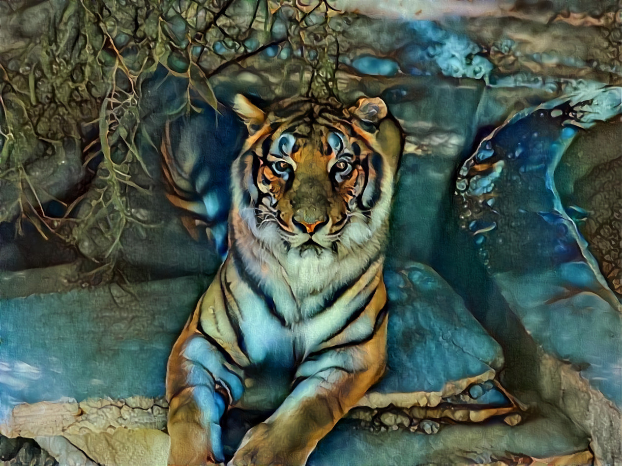 Tunisian Tiger [1.2MP]