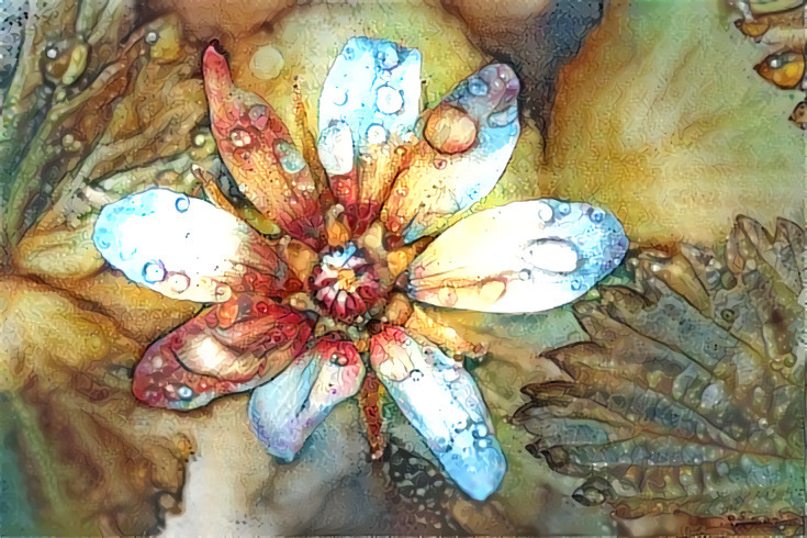 Nagoonberry Flower