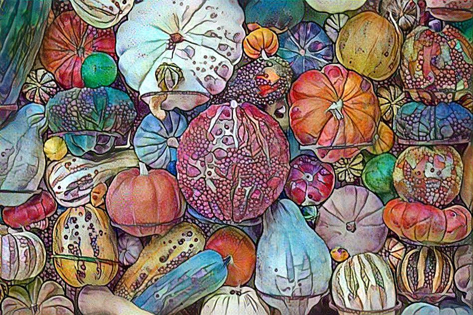 Assorted Autumn Gourds