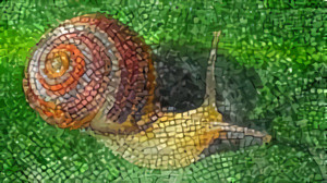 Fawn Snail