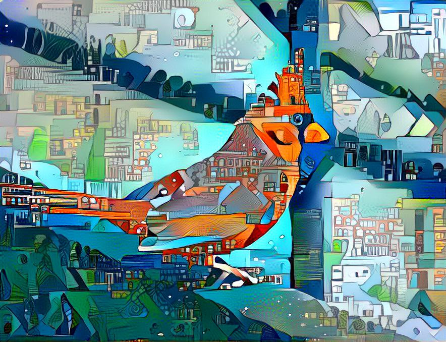 City Bird