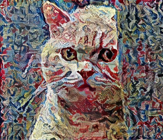 suspicious cat embroidery