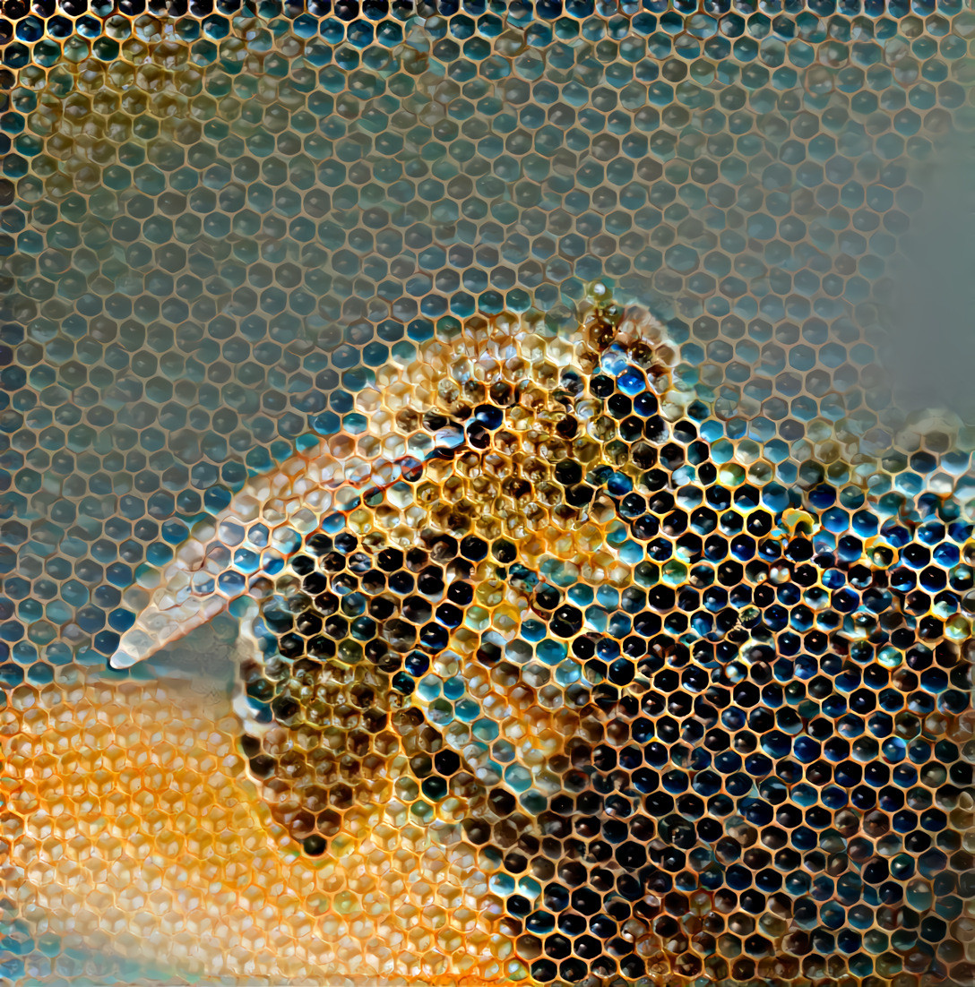 Bee Comb