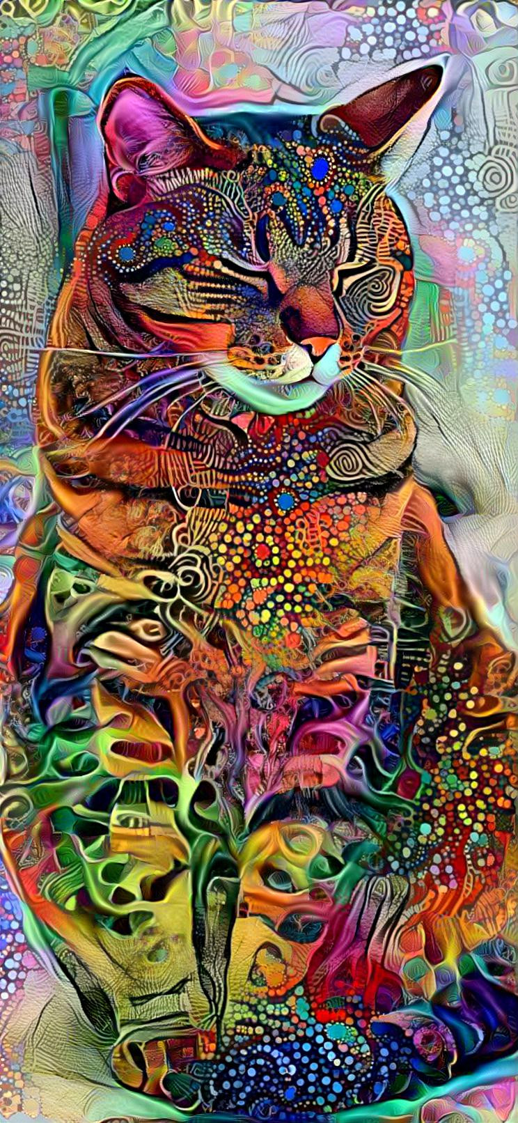 Psychedelic Kitteh