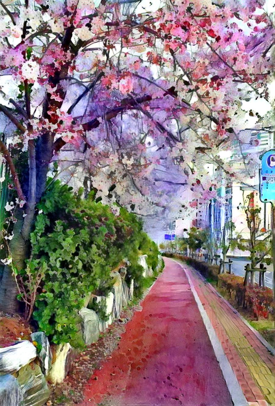 Spring streets approached with cherry blossoms