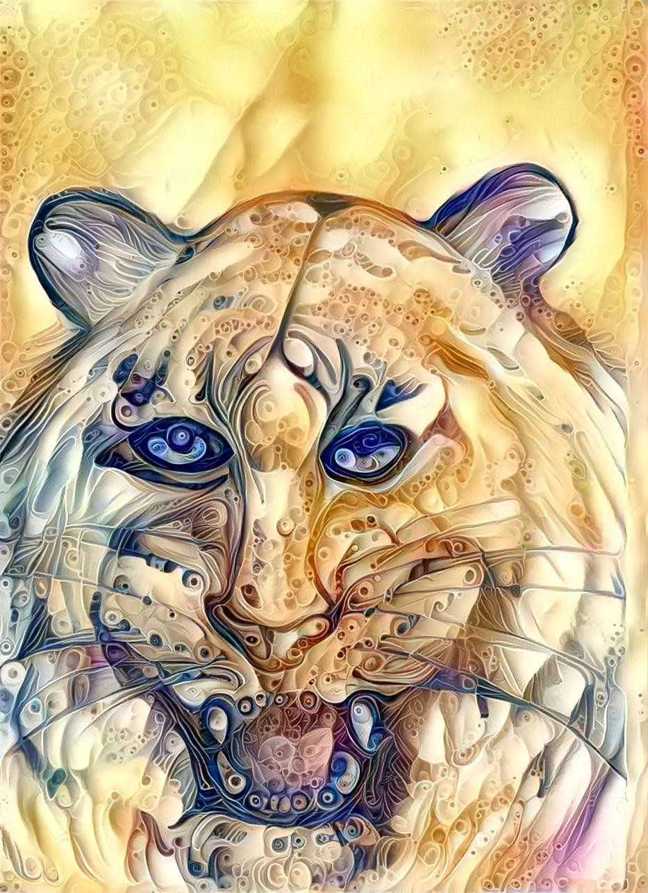 tiger on blue eyes