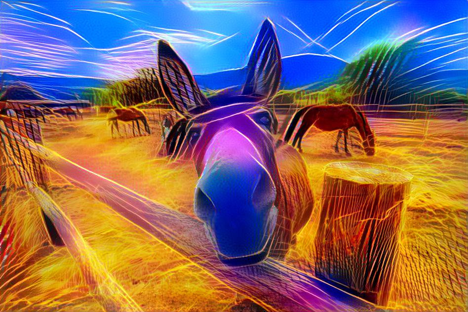 Electric donkey