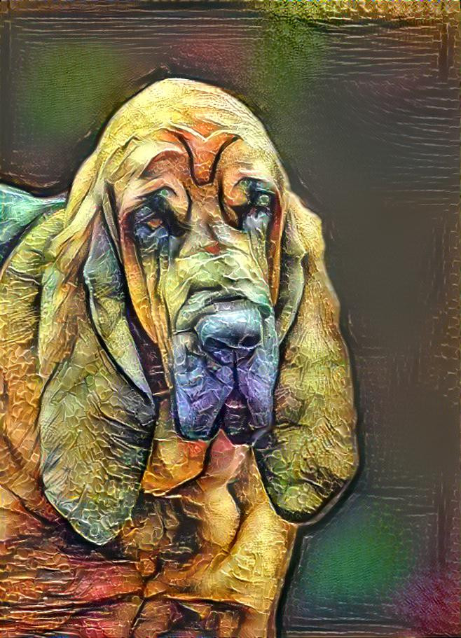 My bloodhound Peppino