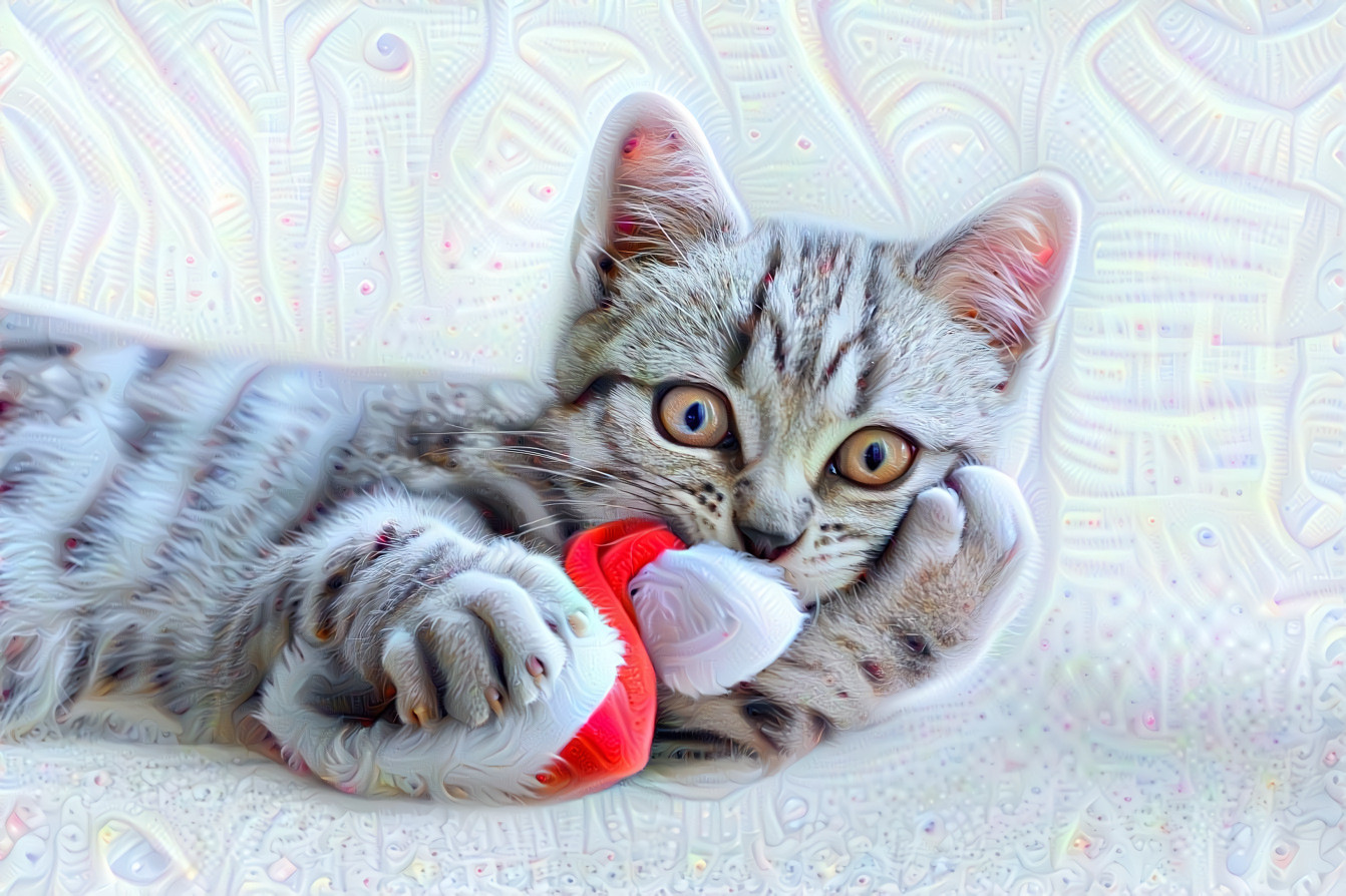 X-mas cat from rebekka.d pixabay