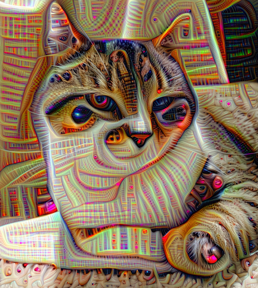 I still don't know how to use the deep dream very well, lol.