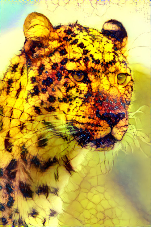 Yellow leopard