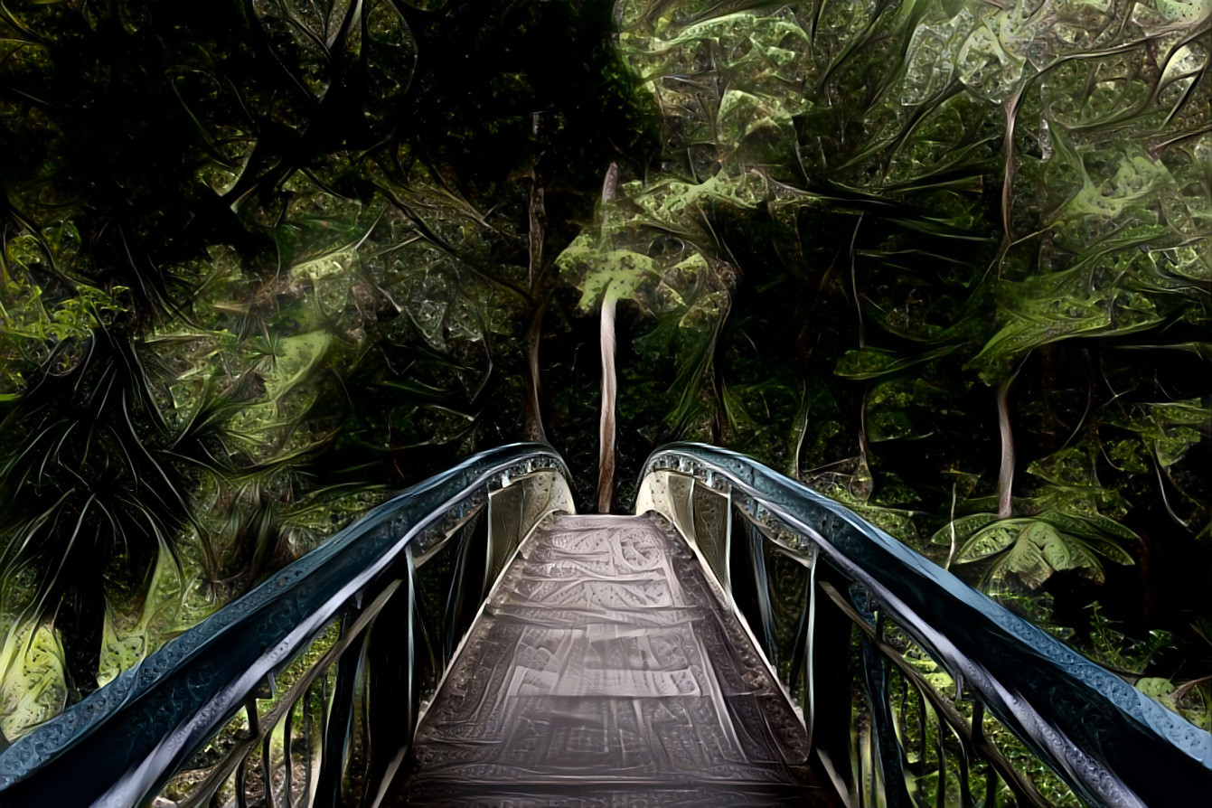 Over the River and into the Woods. Whangarei Falls Footbridge, New Zealand.  Source photo by Tim Swann on Unsplash.