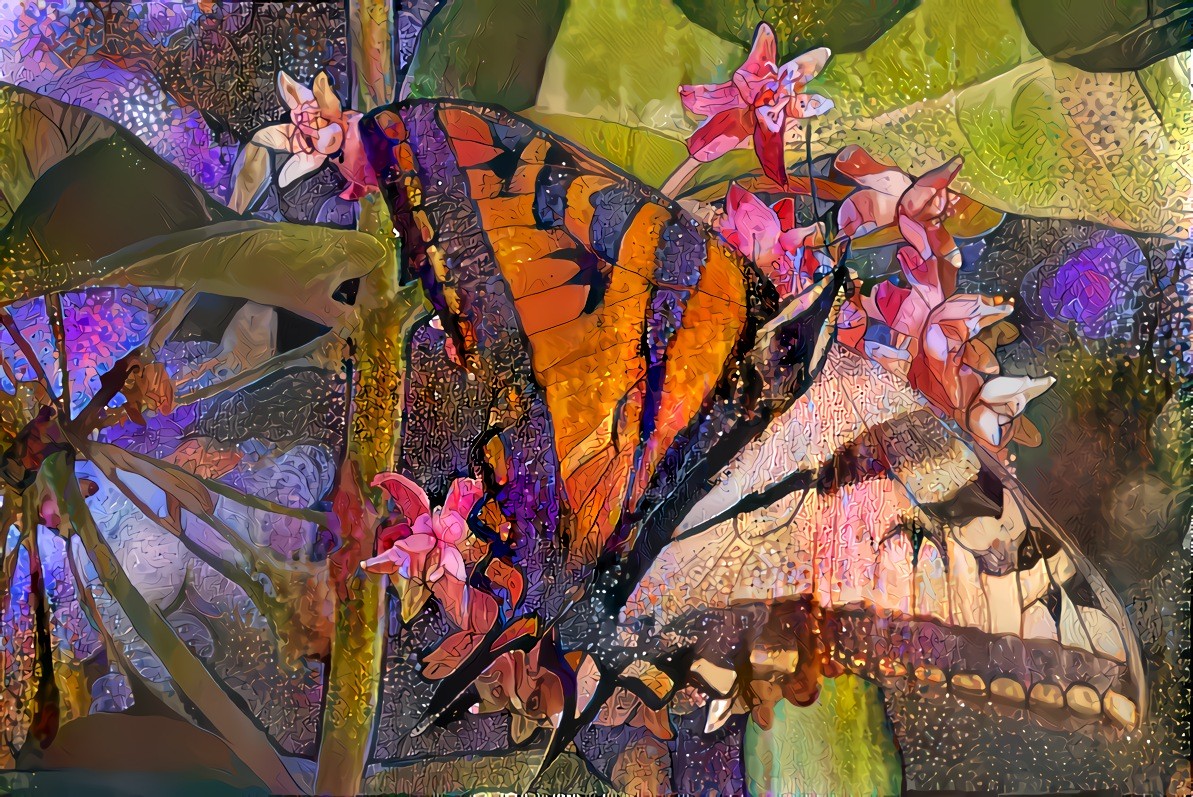 Two-Tone Butterfly