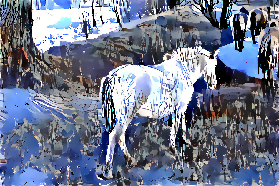 Horses 6 shari blaukopf 2