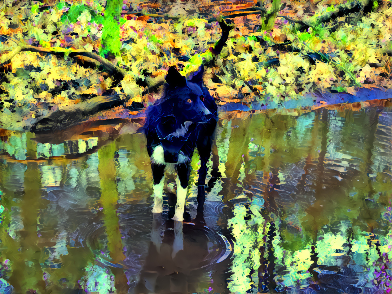 Atreyu standing in a puddle