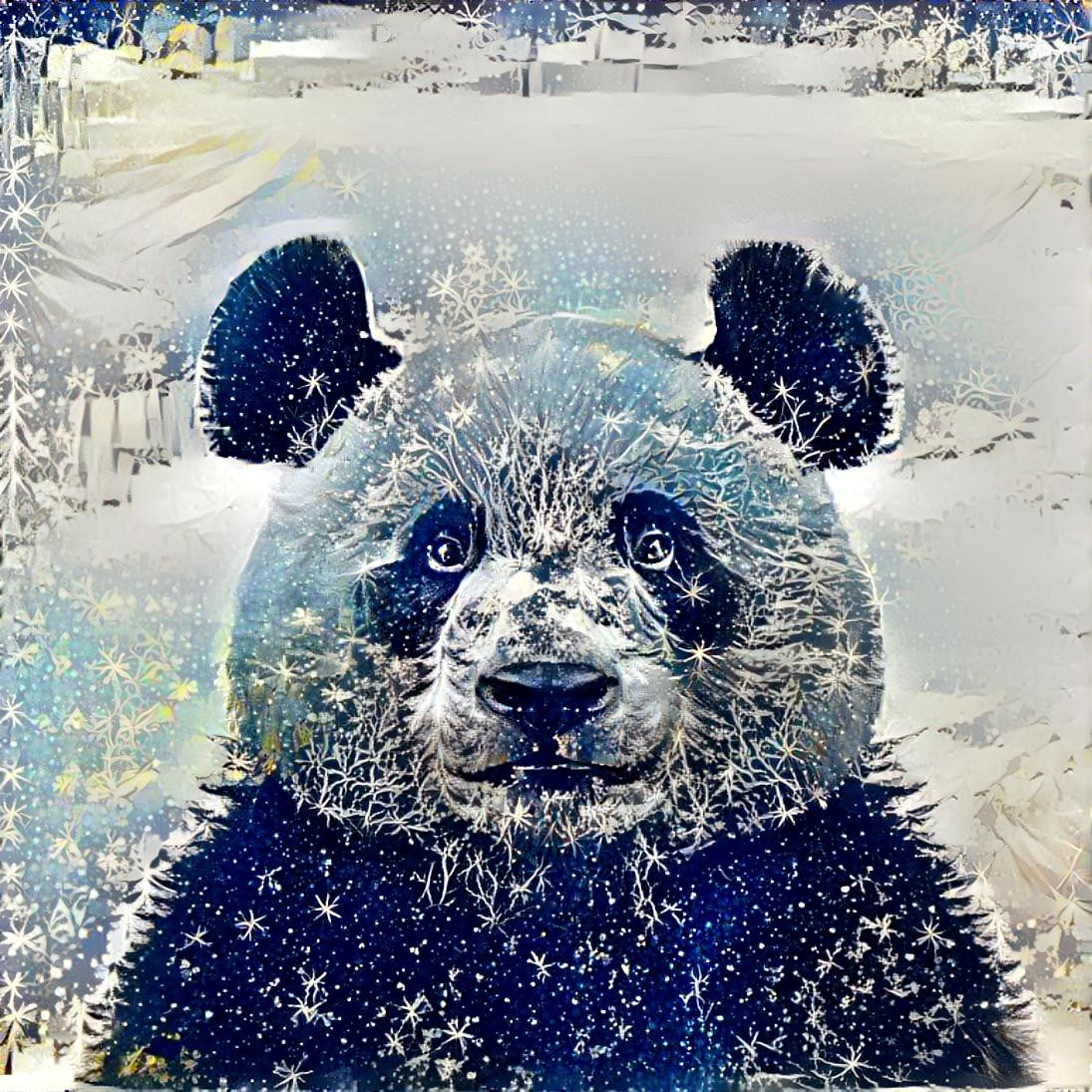 Winter Panda