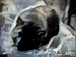 Doge Ice Sculpture