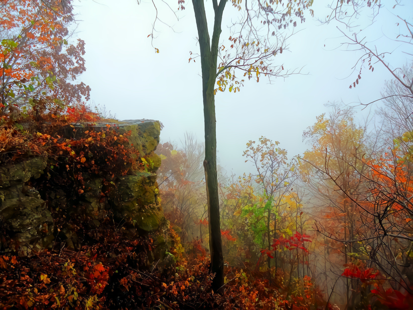 Autumn,  Cliff, Falling Leaves