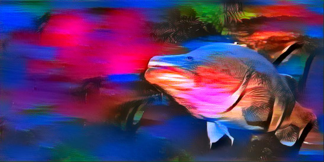 fish but wierd colours