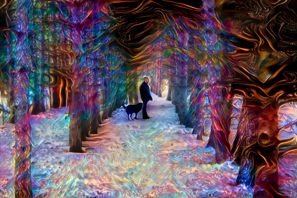 LSD Forest