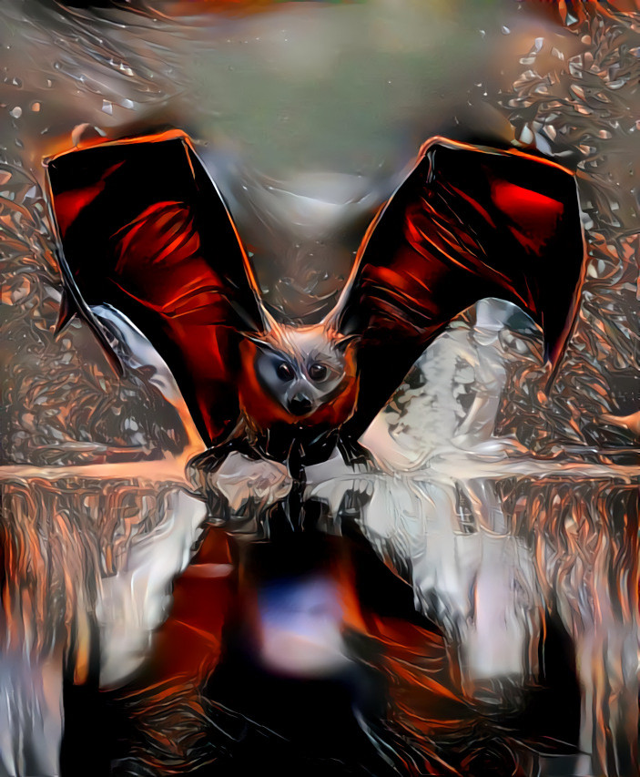 Grey Headed Flying Fox Megabat - Original picture by Michael Cleary