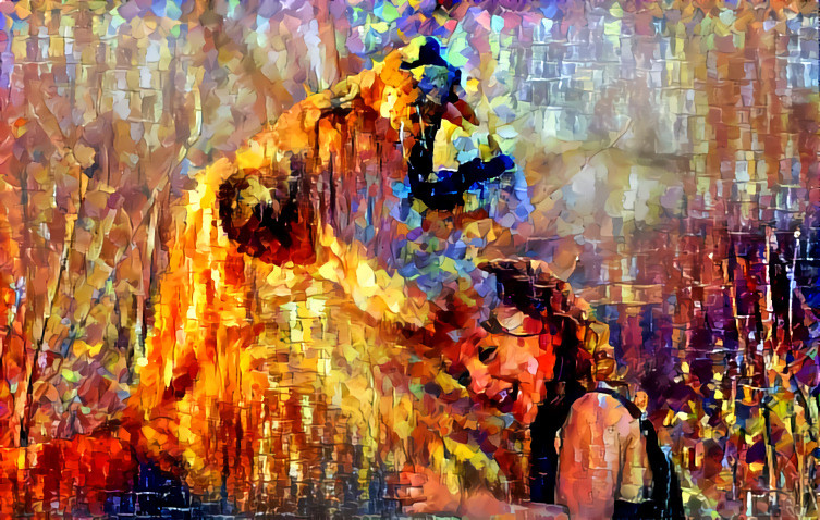 Style Image - Painting by Leonid Afremov