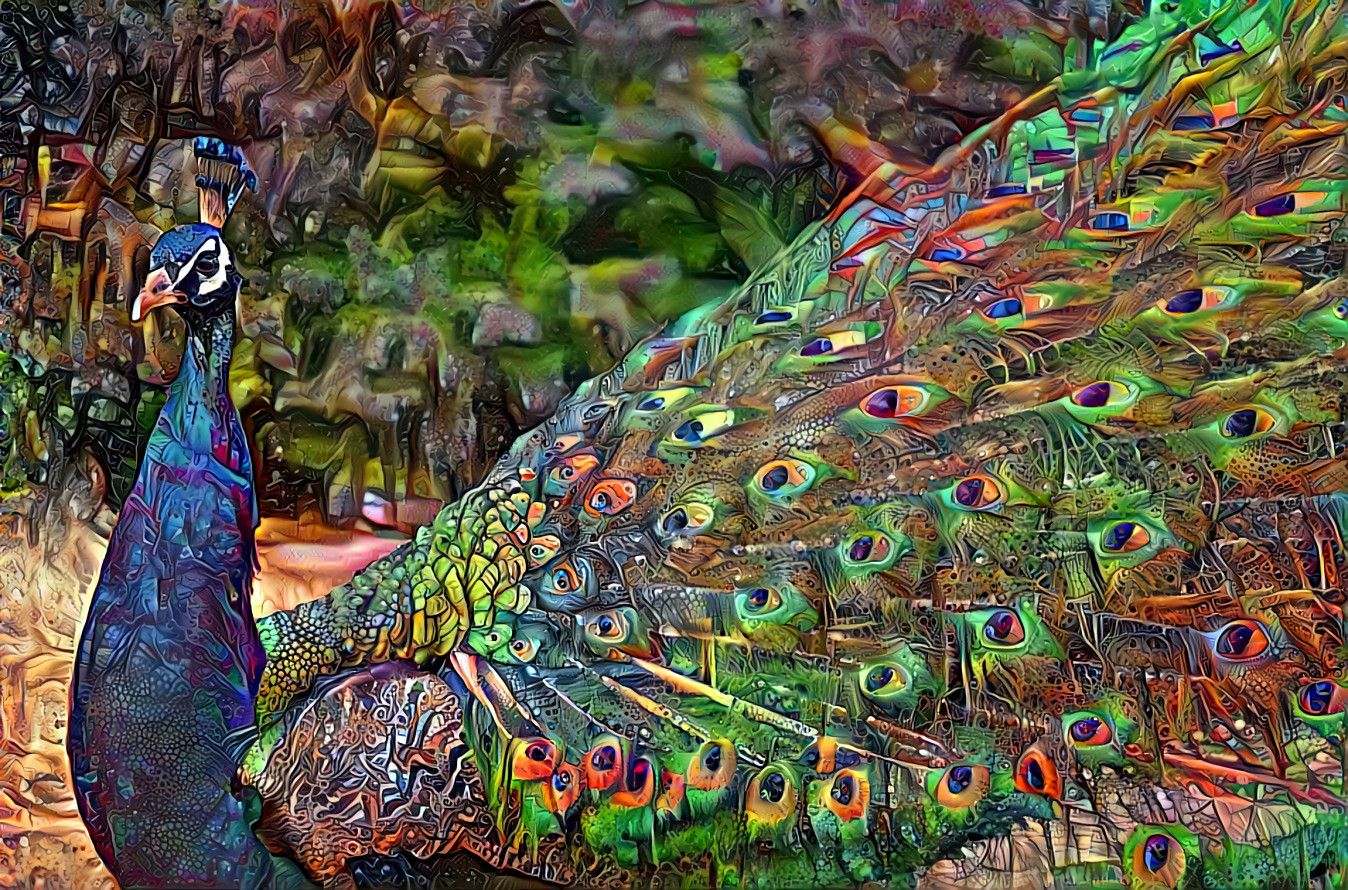 Mr. Peacock