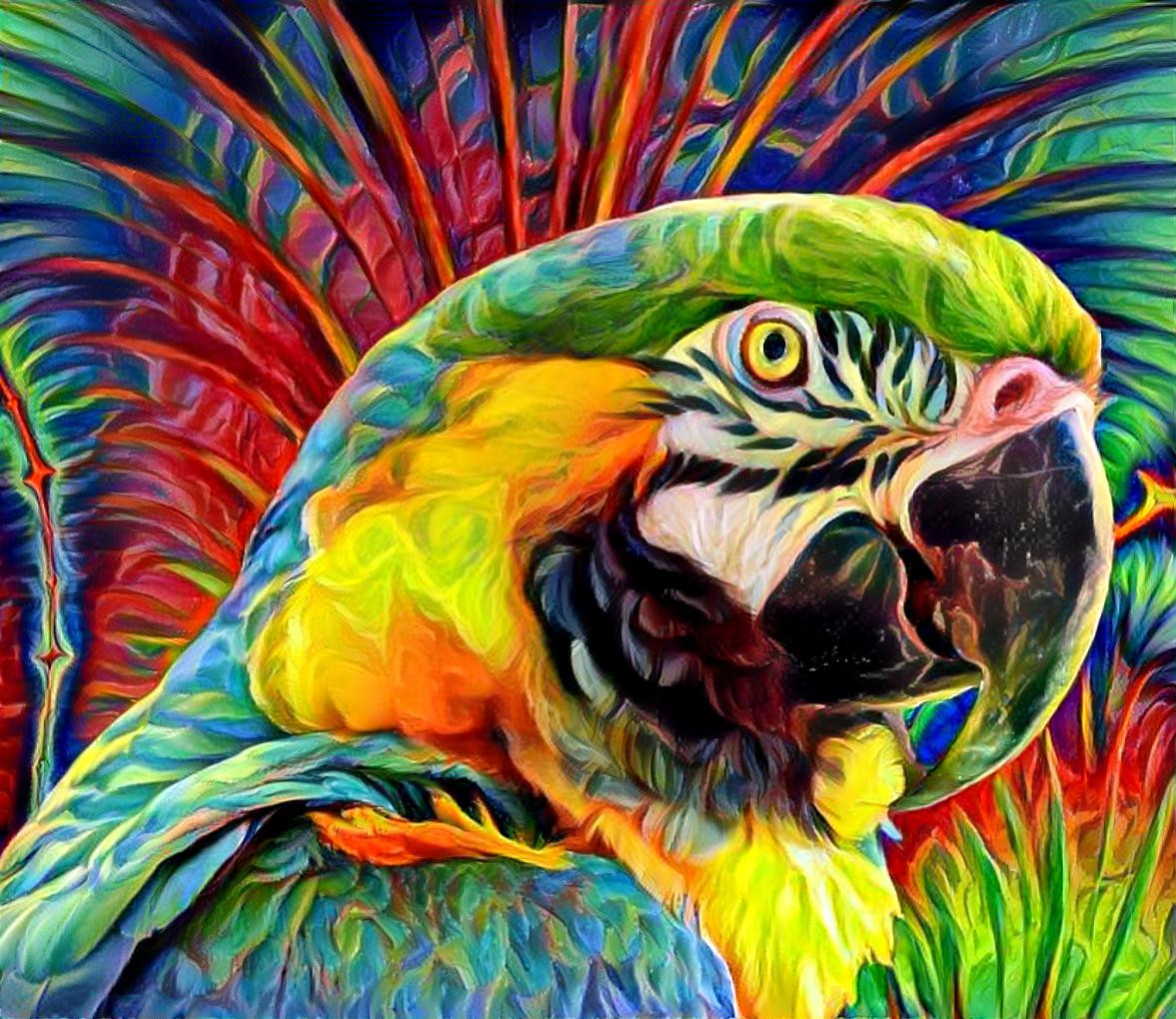 Colorful Parrot [1.2MP]