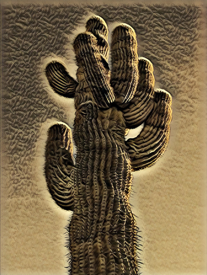 Arizona Saguaro Reaching for the Sky