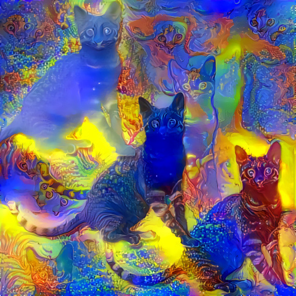 Trippy Cats