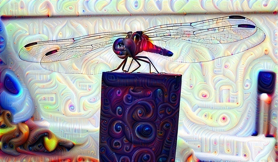 Dragonfly Deep Dream
